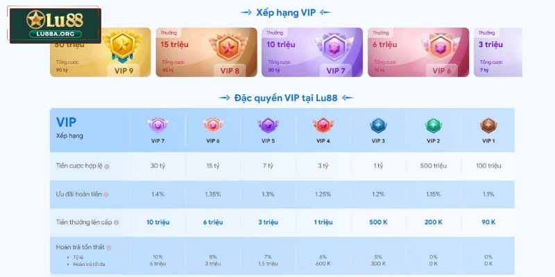 Những đặc quyền độc quyền chỉ dành cho VIP Member